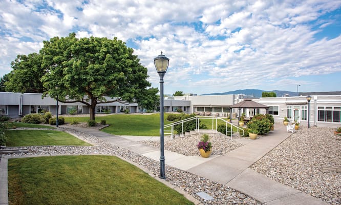 A well-maintained courtyard with pathways and a large tree.