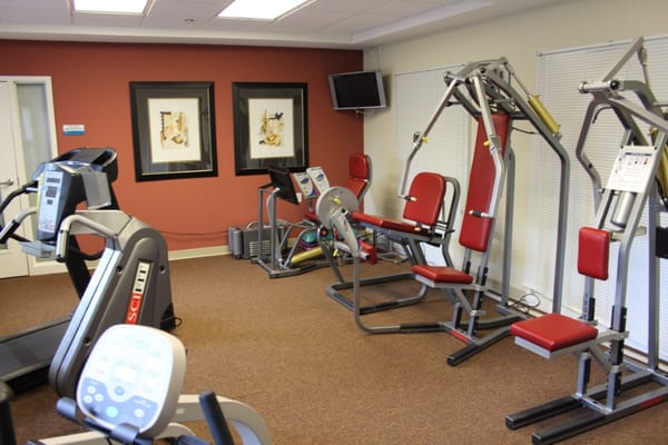 Fitness equipment in the gym area.