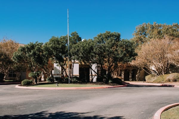View of the entrance area surrounded by trees