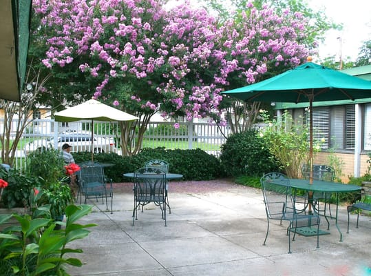 Outdoor seating area with flower trees in bloom