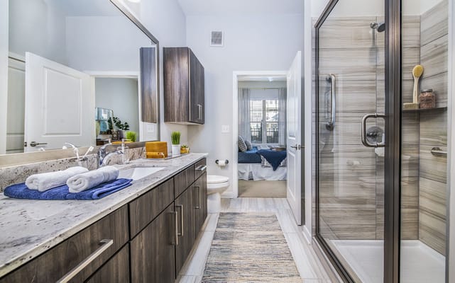 A modern bathroom with a walk-in shower and vanity
