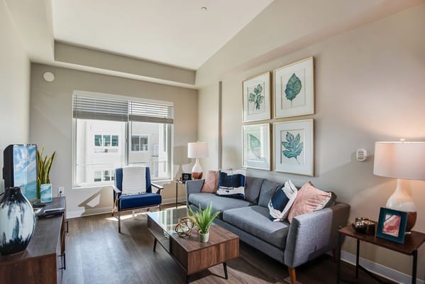 Bright living room featuring a sofa, coffee table, and decorative plants.