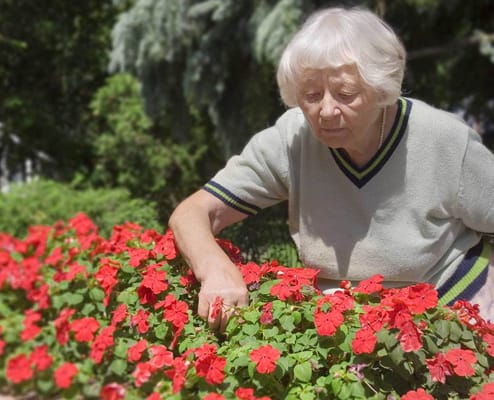 A woman tending to flowers in a garden