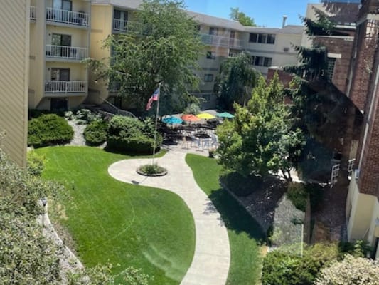 View of landscaped garden area with seating