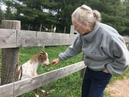 Maple Ridge Lodge Assisted Living