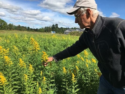 Maple Ridge Lodge Assisted Living