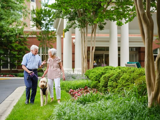 A resident and staff member walking a dog in the garden