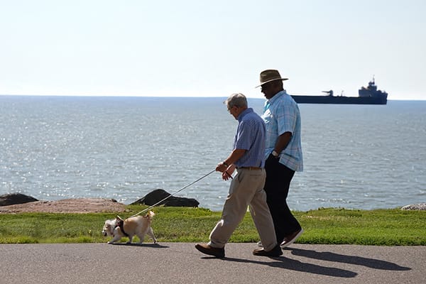 Lakeshore – The Fountains