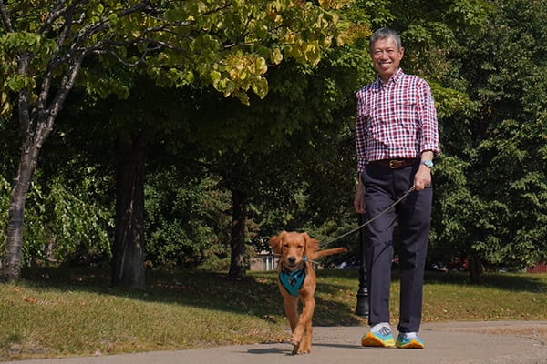 Lakeshore – The Fountains