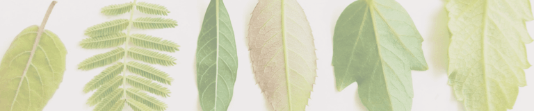 Hope‘s Creek Retirement Living