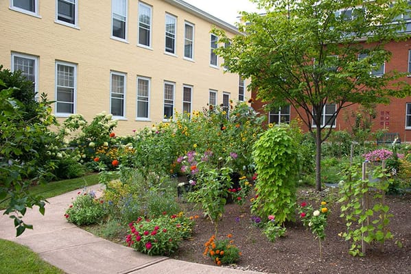 A vibrant garden area with flowers and greenery