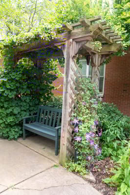 Wooden gazebo surrounded by greenery