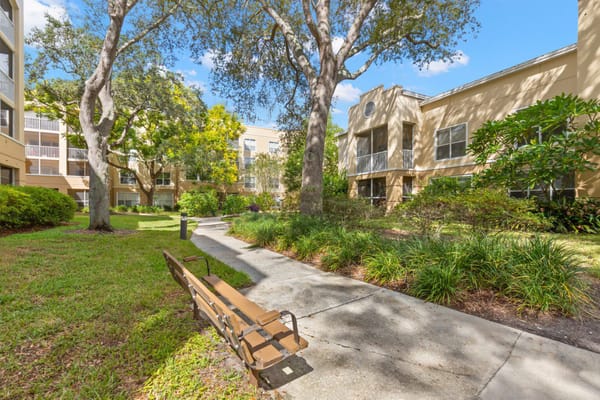 A sunny outdoor space with benches and greenery