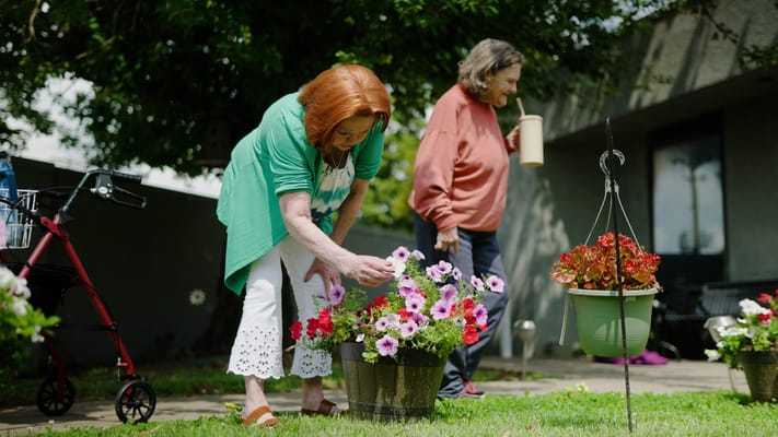 Residents gardening in a sunny outdoor space
