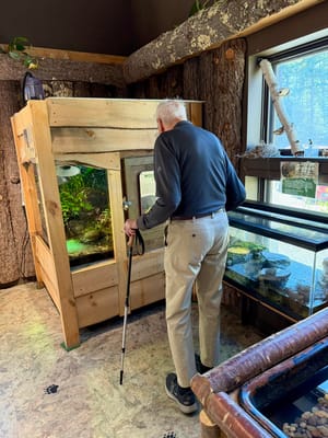 Resident observing an aquarium in the facility's common area