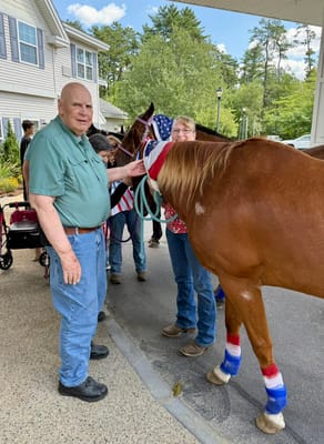 Residents interacting with a horse during an activity