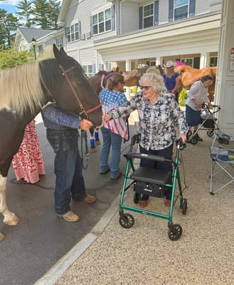 Residents interacting with a horse during an outdoor event
