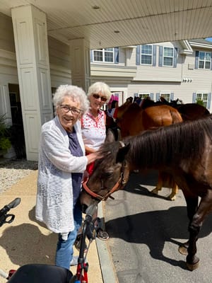 Residents interacting with horses outside the facility