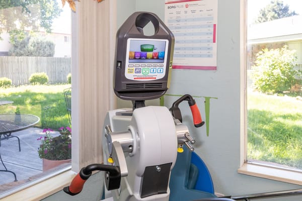 Rehabilitative exercise equipment near a window