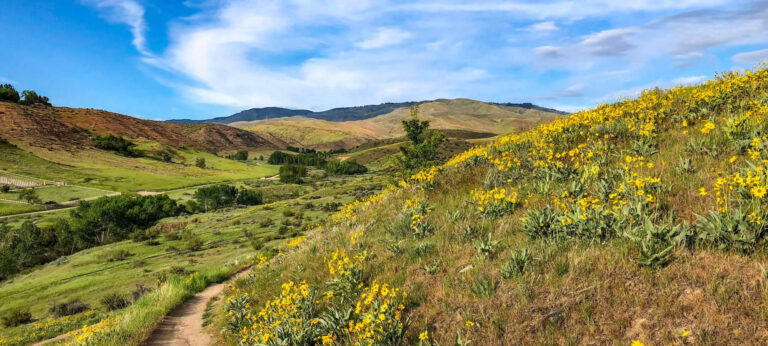 Aspen Valley Senior Living Community