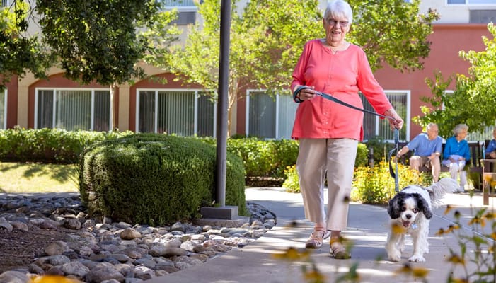 Resident walking a dog in a garden area