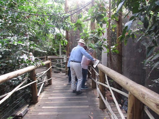 Residents enjoying a walk in a lush outdoor setting