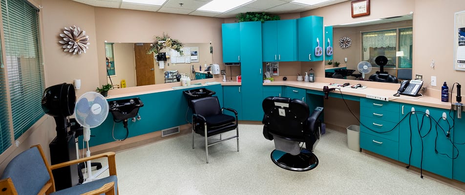 Interior of a salon area with teal decor and chairs