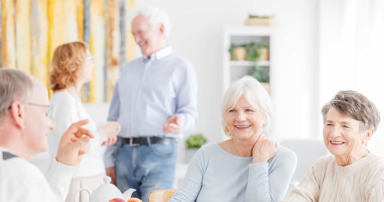 Methodist Village Inc.