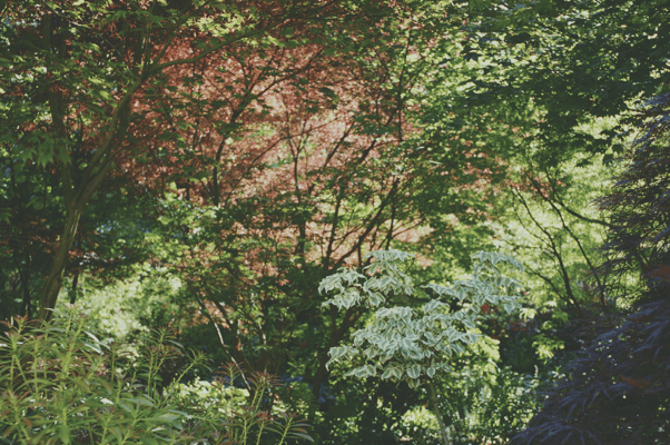 Revere Court of Sacramento