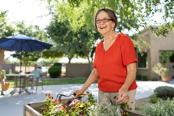 Park Senior Villas – Chandler