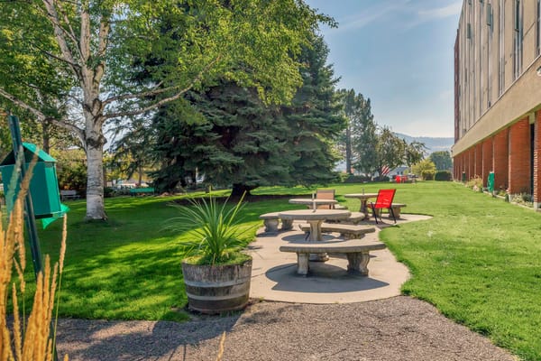 Outdoor area with seating and greenery