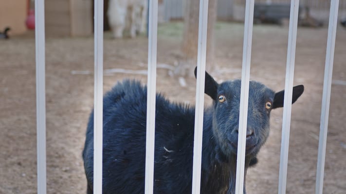 Sierra Vista Retirement Community