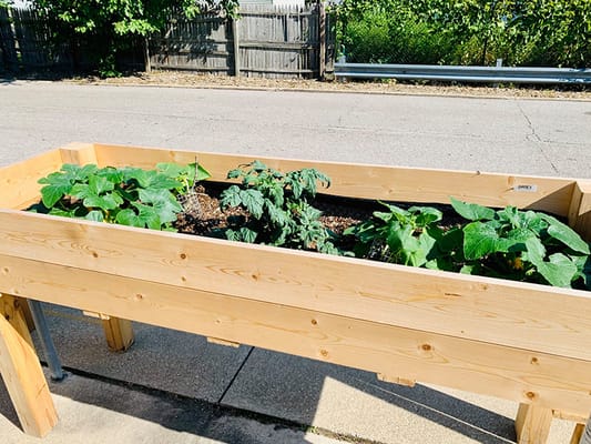 Rocky River Gardens Rehabilitation & Nursing Center