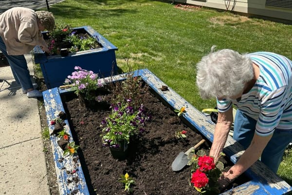 Residents gardening in raised flower beds