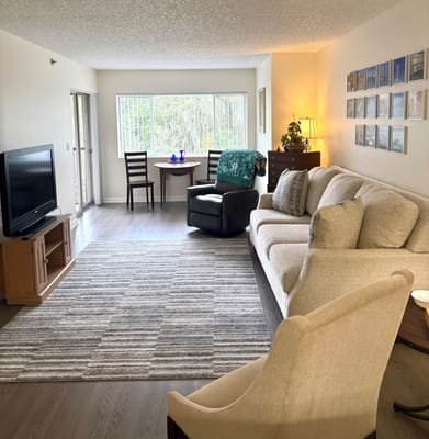 Cozy living room area with natural light