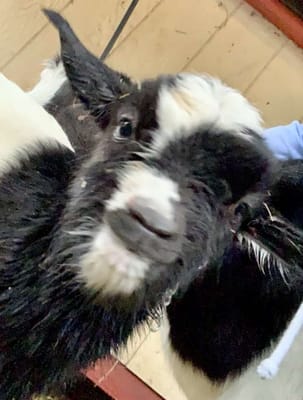 A Country Place Assisted Living Facility