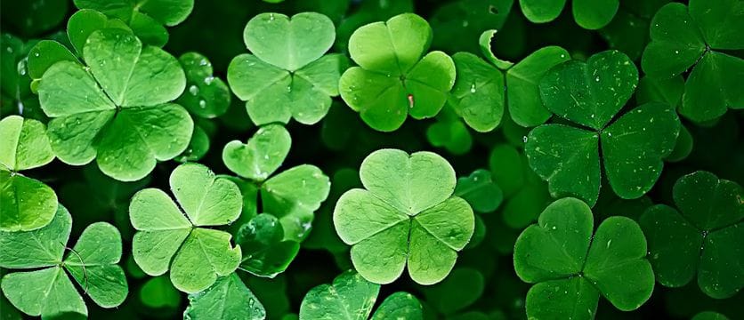 Affinity at Billings