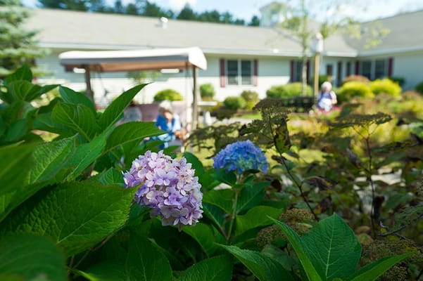 Woodlands Assisted Living of Brewer