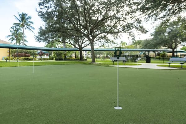 Outdoor putting green in a well-maintained garden
