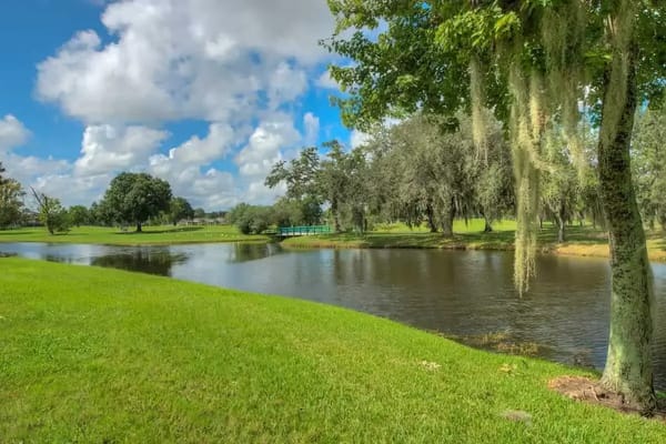 Lush green park area with a serene pond