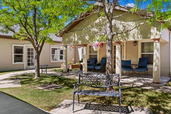 Outdoor seating area with trees and decorations