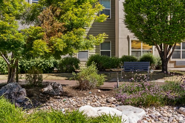 Well-tended garden area with benches and greenery