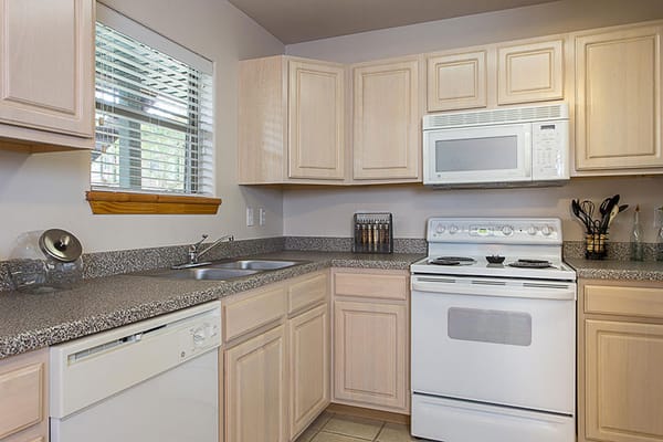Bright kitchen interior with modern appliances