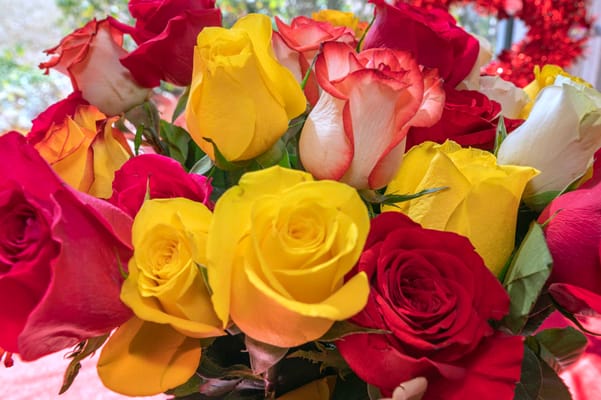 Magnolia Manor of Columbus