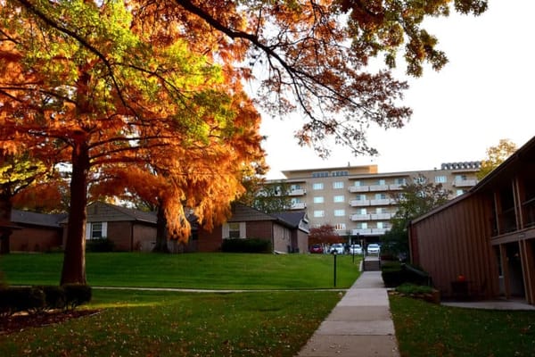 Pathway lined with colorful trees and buildings