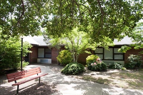 Outdoor garden area with benches and trees