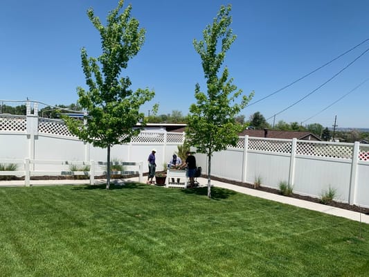 Residents enjoying the garden area under sunny skies