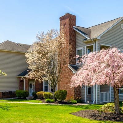 Exterior view of a building with blooming trees