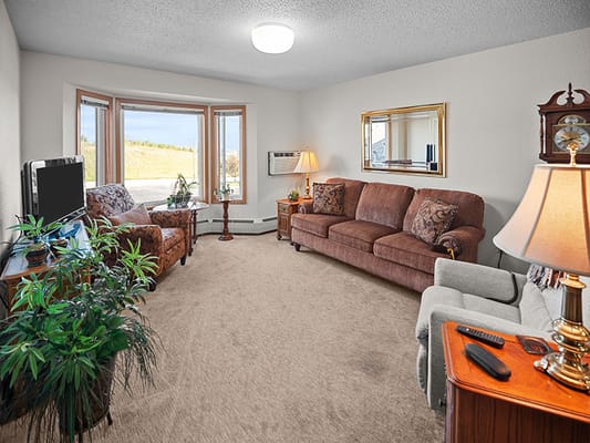 Cozy living room with sofa and plants