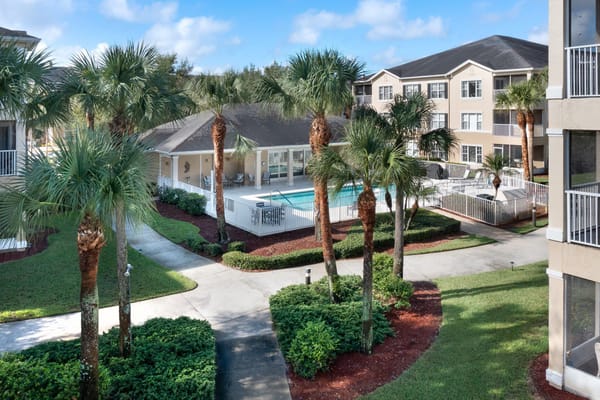 Outdoor pool area surrounded by palm trees and buildings